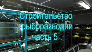 Разводня готова для разведения рыбок
