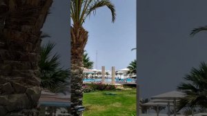 Fantazia resort 5* Марса Алам, Египет апрель 2021. Плюсы и минусы.