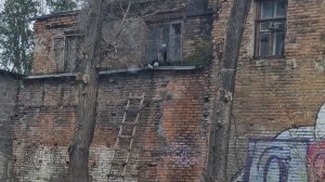 Надя вся на нервах