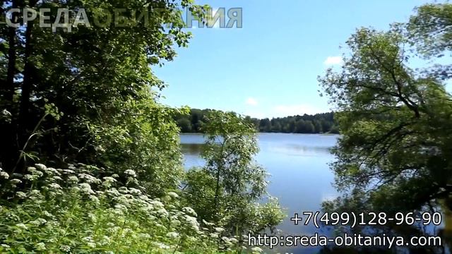 Истринское водохранилище около д.Миронцево  Ленинградское шоссе