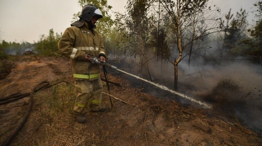 Собственников земли в России могут обязать тушить пожары