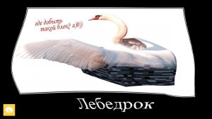 Мысли на контрольной, уровень: ПТИЦЫ