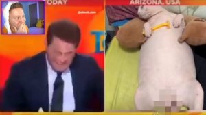 САМЫЕ СМЕШНЫЕ ВИДЕО из ТИК-ТОКА