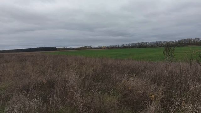 3 ДЕКАБРЯ народный праздник ДЕНЬ ПРОКЛА. ЧТО НЕЛЬЗЯ ДЕЛАТЬ. народные приметы и поверья