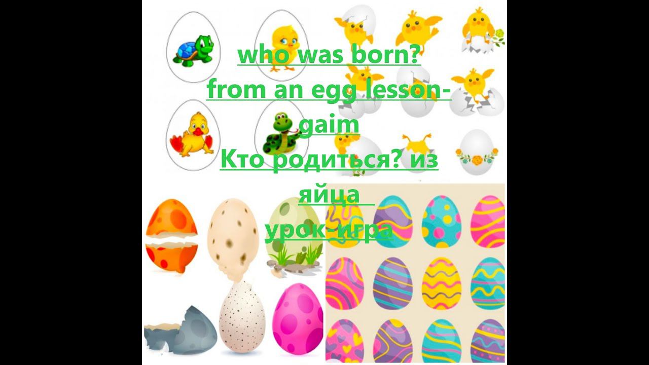 who was born? from an egg lessongaim2 Кто родиться? из яйца урок игра 2 пастель