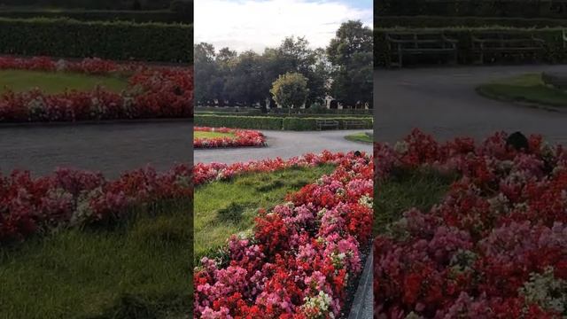 A beautiful place in Munich: hofgarten ♥️, Germany  #hofgarten #munich #germany #simpletravelers