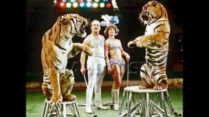 Цирк! Цирк! Цирк!