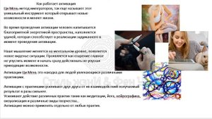 Формула успеха! Активация Ци Мень Дун Цзя Птица падает в гнездо