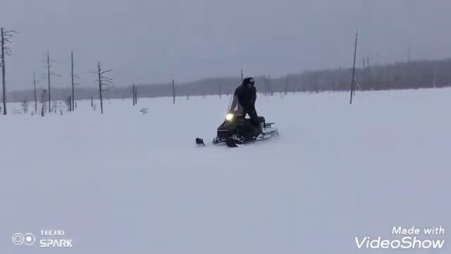 tungus 500L (15.01.23) смотреть онлайн