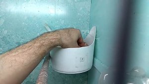 Гибридный птенец горлиц.  Возраст 2 е суток.