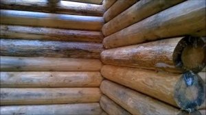 Как выбрать антисептик для древесины
