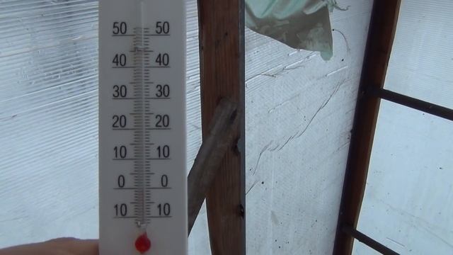 Индоутки. Содержание зимой в теплице. Грядут перемены)) смотреть онлайн