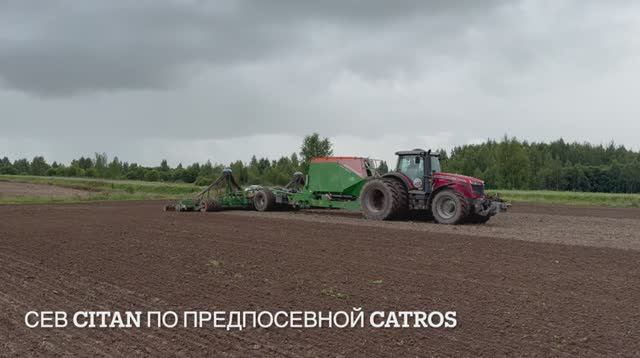 Ярославль. Оз.рапс посевная