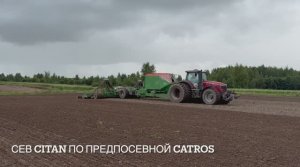 Ярославль. Оз.рапс посевная