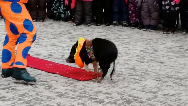 Новый 2019 год на Загребский бульвар, 9 смотреть онлайн