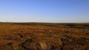 Пешка по тундре Северного Тимана / Россыпи драгоценностей / 5 часть