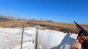 Охота на гуся на крайнем севере! Амдерма!