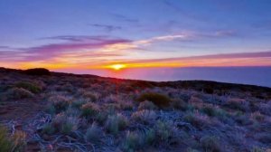 В.Брюсов " Я люблю тебя и небо"