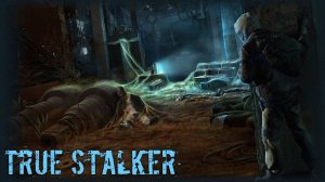 S.T.A.L.K.E.R.: Call of Pripyat + мод True Stalker | Судьба Топора...