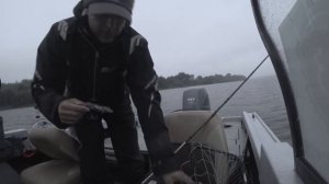 Крупный силикон + panoptix livescope = море судака на ОКЕ