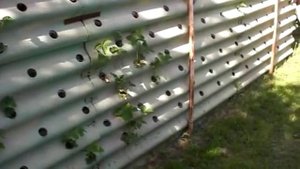 Вертикальная грядка для земляники. Посадка земляники.