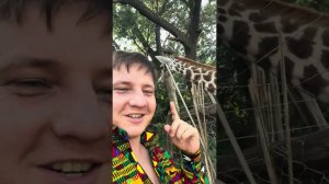 Зоопарк в Кении на озере Виктория. Импала парк.