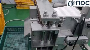 240229 Машина для разбивки (разделения) замороженных блоков рыбы CHBD 1000 CHAMCO Южная Корея
