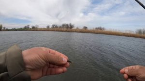 МИКРОДЖИГ в суровых условиях! Поиск капризного окуня.