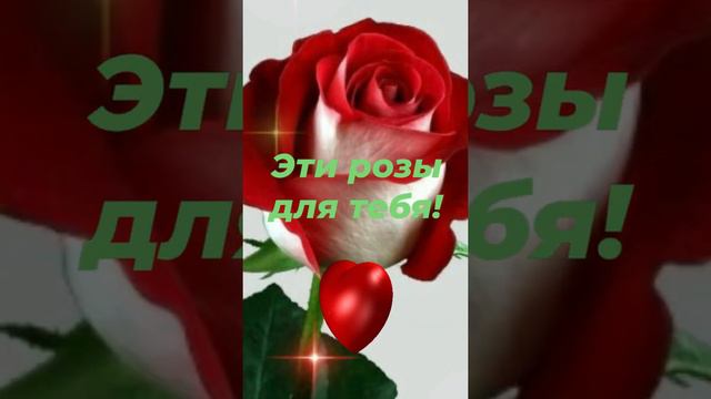 ЭТИ РОЗЫ ДЛЯ ТЕБЯ! 🌹🌹🌹🌹🌹❤️💖