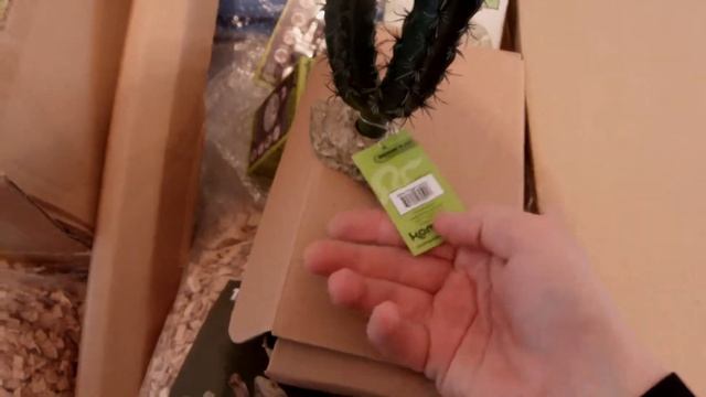 Террариум для рептилии!!(unboxing) смотреть онлайн