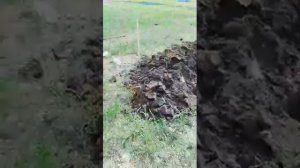 копаем могилу друзья подписываемся.