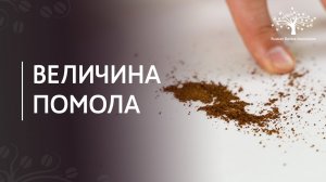 Как подобрать правильный помол для кофе