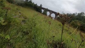 КБЖД на велосипеде