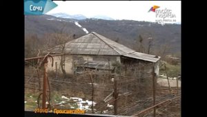 Сочинцев призывают уменьшать поголовье домашних свиней