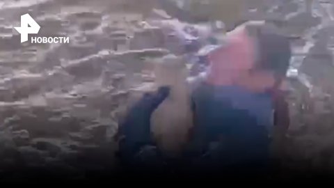 Трогательное видео: мужчина бросился в реку за тонущим котиком / РЕН Новости