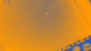 Значение экспозиции зафиксировано. in Orange Vocoder IL Vocodex Edition