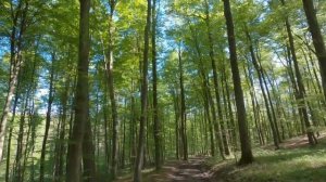 Стихотворение Анны Опариной о том , как быстро летят года...