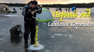 Первый лёд. Корюшка. Сахалин 2020.