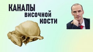 Каналы височной кости. Начало, окончание и содержимое каналов