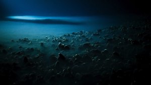 Ядовитое озеро на дне Мексиканского залива.