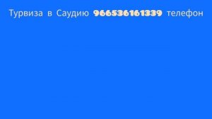 Заработала онлайн Бизнес виза в Саудовскую Аравию 11/11/2023