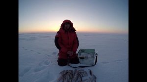 Лесотка + прикормка = безнасадка в глухозимье