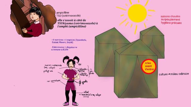 APPRENDRE SHIGELLA EN MOINS DE 4 MINUTES │ BACTISTORY смотреть онлайн