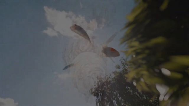 Аквариум - Брод смотреть онлайн