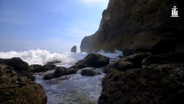 The Invisible Barrier Keeping Two Worlds Apart | The Wallace Line смотреть онлайн