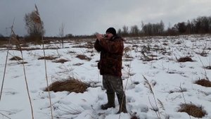 Гусиные голоса. Обзор духовых манков на белолобого гуся.