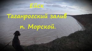 Ейск.  Таганрогский залив   Морской.