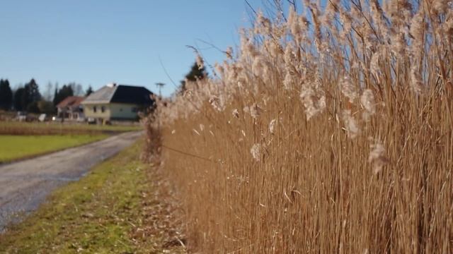 Canon EOS M - Magic Lantern - MCM rewire preset test смотреть онлайн