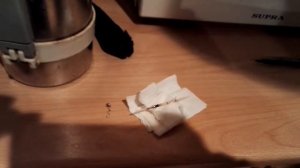 Русские не сдаются. Лайфхак: как добыть огонь без спичек и зажигалки