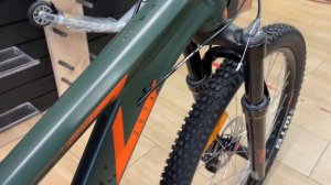 STINGER ZETA STD 29  2021